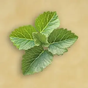 Elie Saab Le Parfum Lumière Floral Amadeirado 50ml Perfume Mulher