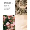 Elizabeth Arden White Tea Eau Florale 50ml Feminino