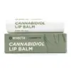 Enecta Linha CBD Balsamo Labial 5,5ml