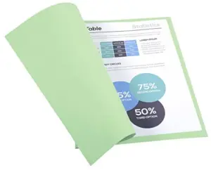 Exacompta Classificador de Cartolina 180 Verde Claro 24x32cm