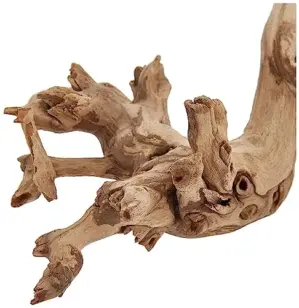 Exo Terra Ramos Naturais Forest Branch 60cm