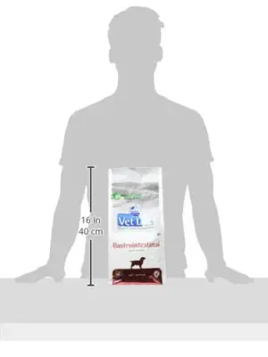 Farmina Ração Seca para Cães Gastrointestinal 2kg