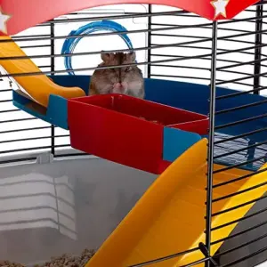 Ferplast Circus Gaiola para Hamster com Acessórios