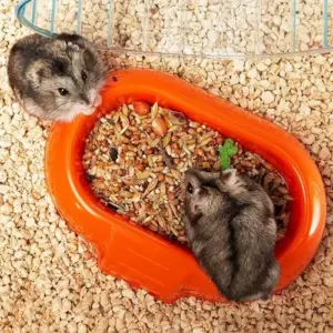 Ferplast Complemento Gaiola Hamster Modular Combi 40,5 cm Transparentes