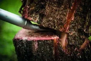 Fiskars Alavanca de corte aço 115cm Preto para troncos