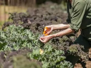 Fiskars Tesoura 18cm Inoxidável 1000555