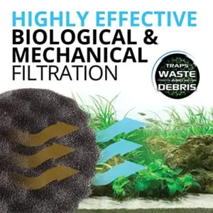 Fluval Foamex para Filtro FX Bio 2pc