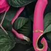 G-Vibe Gjay Mini Vibrador de Silicone Rosa