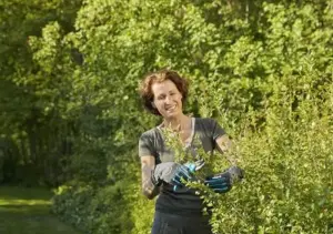 Gardena Luvas de Jardinagem Antiderrapantes Tamanho M Cinza Segurança