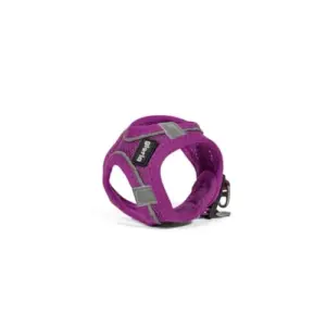 Gloria Arnês Trek Star Roxo XXS