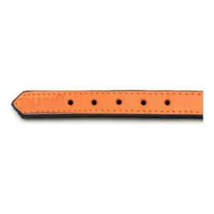 Gloria Pets Coleira Acolchoada Laranja 50×2,5cm