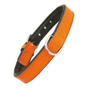 Gloria Pets Coleira Pele Acolchoada Laranja 35cm