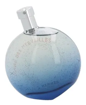 Hermès L’Ombre des Merveilles Eau de Parfum 100ml Mulheres
