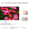 HP Series 5 23.8 Full HD LED IPS