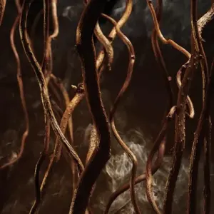 Hugo Boss Boss Bottled Elixir Eau de Parfum 50ml