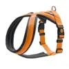 Hunter Arnês London Comfort Cor Laranja Tamanho M