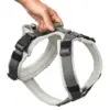 Hunter Arnês Maldon Up cinzento 50-84 cm