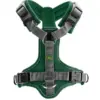 Hunter Arnés Maldon Verde e Gris M-L