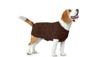 Hunter Camisola para Cão Finja 55 cm roupa e calçado