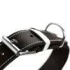 Hunter Coleira Aalborg Preto 36-44 cm