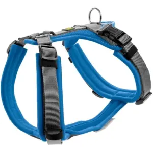 Hunter Trelas e Peitorais Arnês Maldon Azul e Gris XS