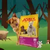 Josidog Mini Cão Pequeno 10 Kg