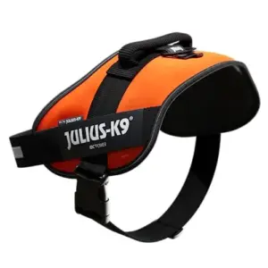 Julius-K9 Peitoral Power IDC 3 XL-XXL
