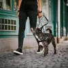 Julius-K9 Peitoral Power IDC 3 XL-XXL