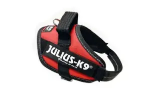 Julius-K9 Peitoral Power IDC Mini 49-67cm