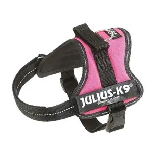 Julius-K9 Peitoral XS