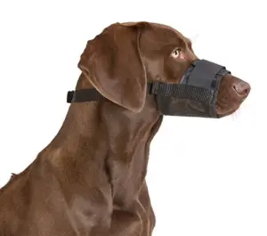 Kerbl Açaime Nylon ajustável com velcro para cães de cabeça curta