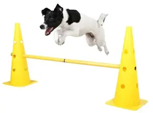 Kerbl Conjunto Agilidade Cone Hurdle
