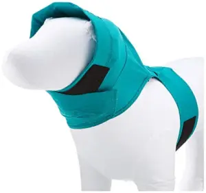 KVP Protetor de Orelhas Verde XL roupa e calçado