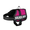 Julius-K9 Peitoral M/L Fuchsia