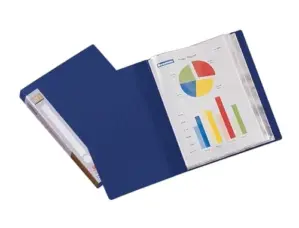 LiderPapel Classificador 10 Bolsas Azul A4