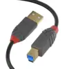 Lindy 36742 Cabo USB A a USB B 2m