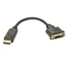 Lindy Adaptador Cabo DisplayPort para DVI-D 0.15m