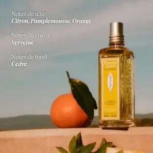 L’Occitane Verveine Agrumes Eau de Toilette 100ml