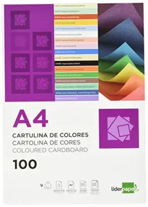 Cartolina 180g/m Salmão A4 100 folhas