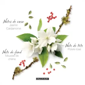 Mauboussin Discovery Man Eau de Parfum Bergamota, pimenta rosa, jasmim, caramomo, musgo de carvalho