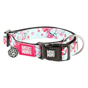 Max & Molly Coleira Smart ID Cherry Bloom S