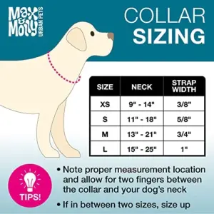 Max & Molly Coleira Smart ID Frenzy the Shark S