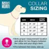 Max & Molly Coleira Smart ID Kiwi M