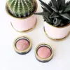 Max Factor Facefinity Blush Tom 50 Sunkissed Rose 1,5g