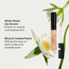 BareMinerals Liquid Concealer Light/Medium 2.5W