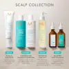 Moroccanoil Scalp Treatment Oil-No-More 45ml