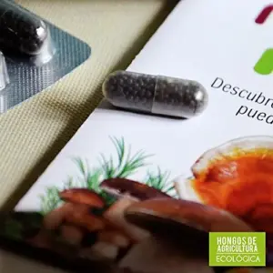 Neo Linha Cordyceps Energia 60 Cápsulas