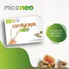 Neo Linha Cordyceps Energia 60 Cápsulas
