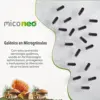 Neo Neo DEF Sistema Imunológico 60 cápsulas