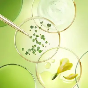 Nuxe Nuxuriance Ultra Creme Contorno de Olhos e Lábios Renovador 15ml